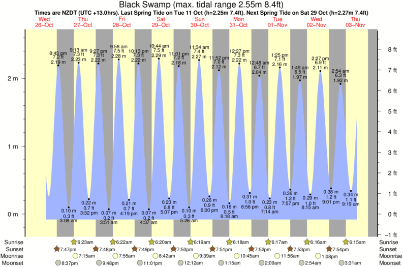 tide graph for Black Swamp near Mangawhai Heads surf break