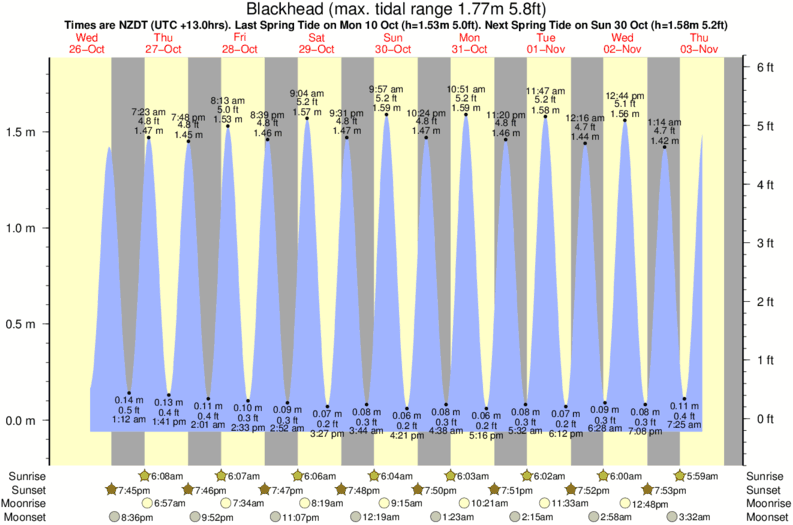 tide graph for Blackhead surf break