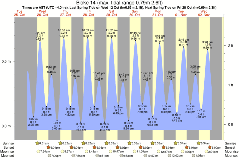 tide graph for Bloke 14 near Playa del Macao surf break