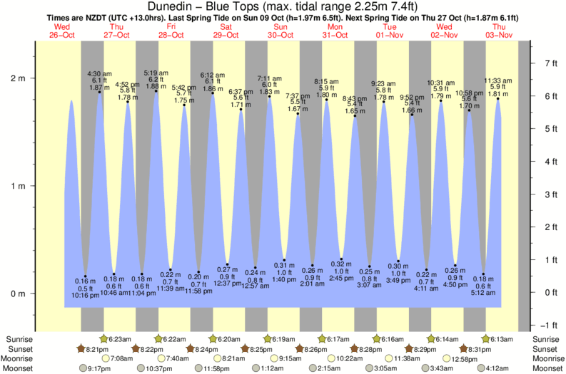 tide graph for Dunedin - Blue Tops near Brighton surf break