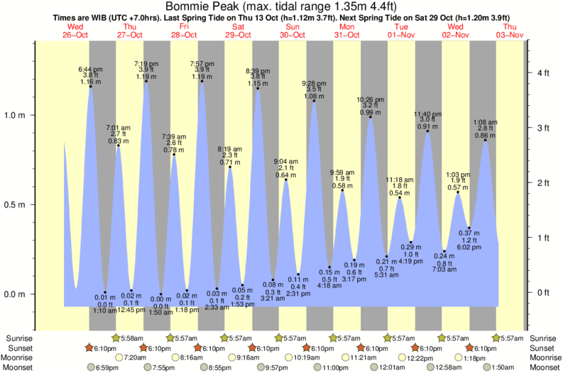 tide graph for Bommie Peak surf break