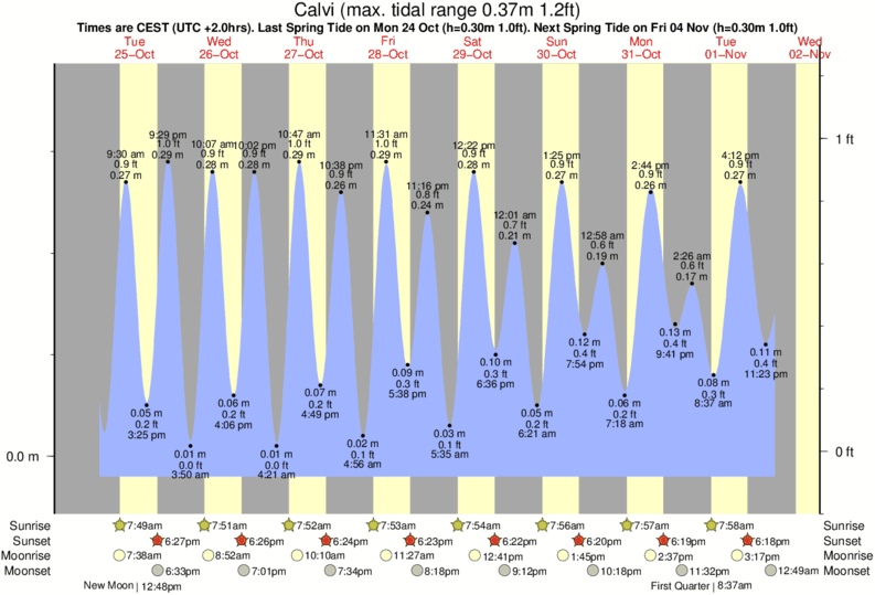 tide graph for Calvi near Algajola surf break
