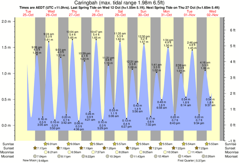 tide graph for Caringbah near Cronulla surf break