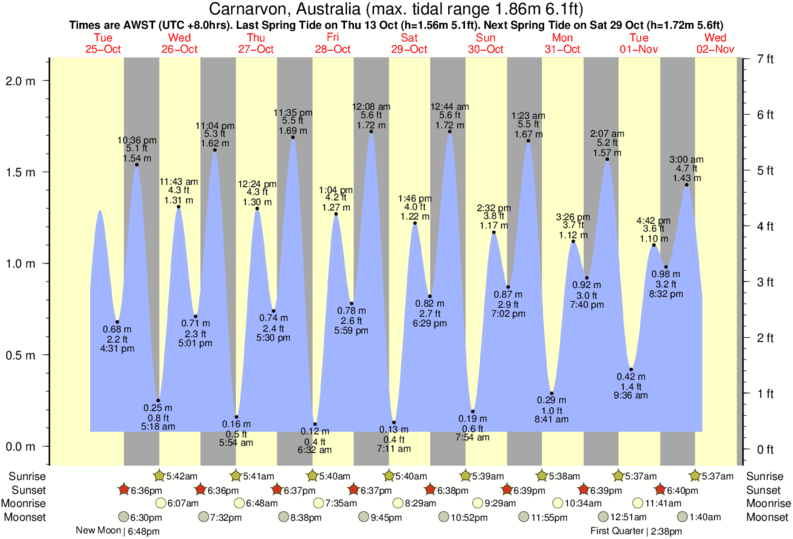 tide graph for Red Bluff near Red Bluff surf break