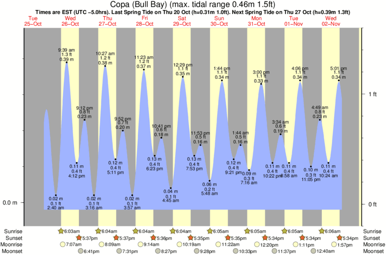 tide graph for Copa (Bull Bay) near Zoo (Bull Bay) surf break