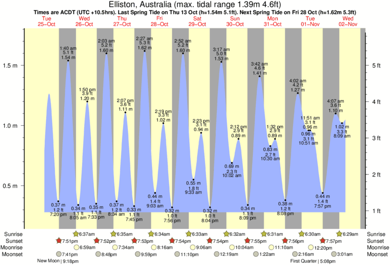 tide graph for Drummond Point near Drummond Point surf break