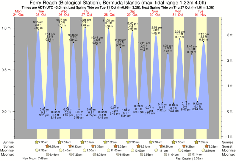tide graph for Ferry Reach (Biological Station), Bermuda Islands near Tuckers surf break