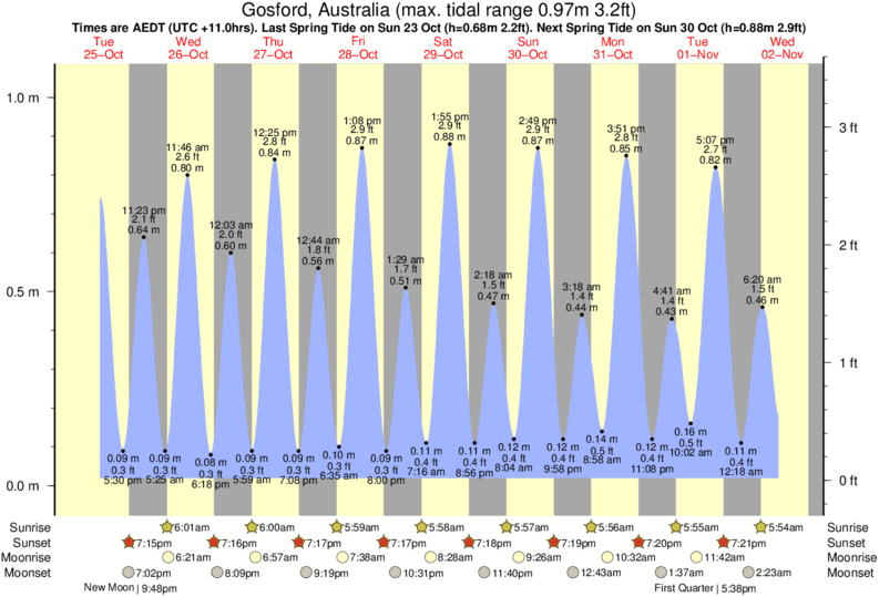 tide graph for Gosford, Australia near Wamberal Beach surf break