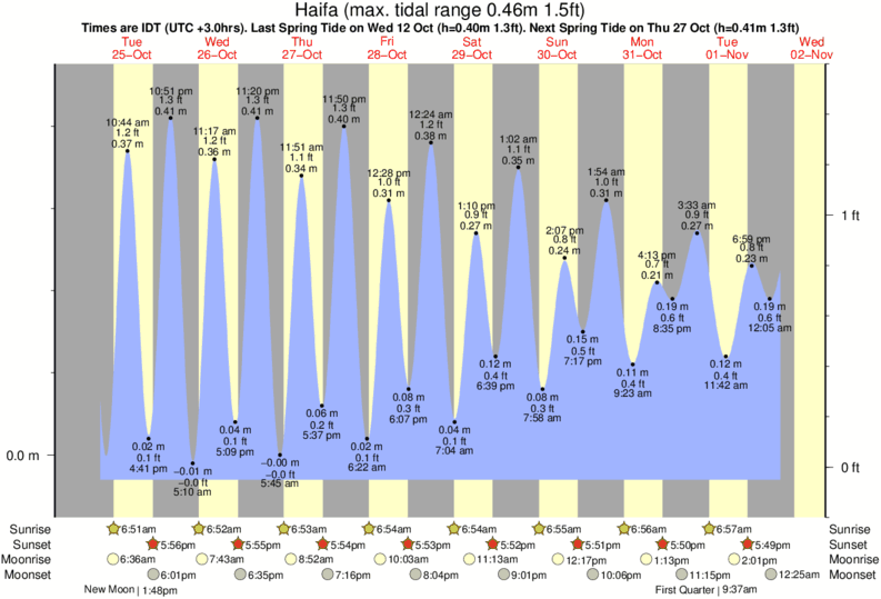 Nirvana Charts