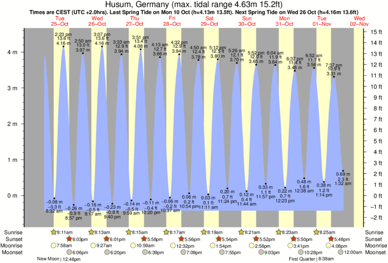 tide graph for Damp near Damp surf break