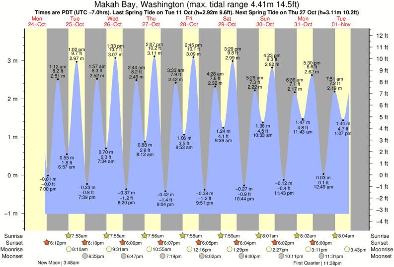 tide graph for Makah Bay, Washington near Hobuck/North Coast surf break