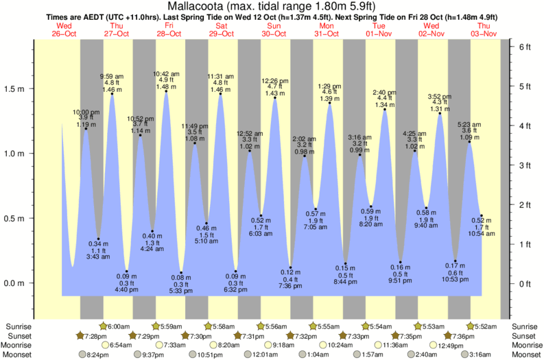 tide graph for Mallacoota surf break