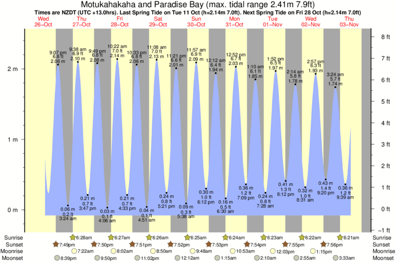 tide graph for Motukahakaha and Paradise Bay surf break