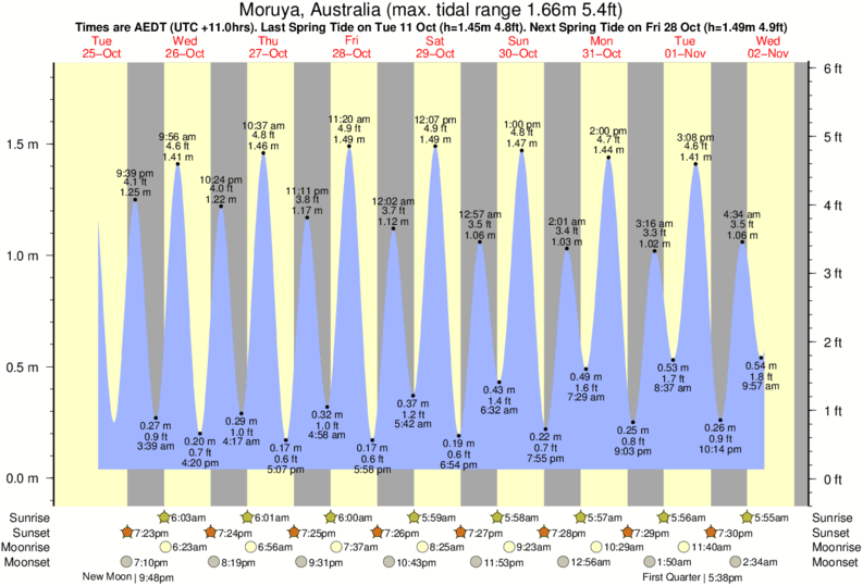 tide graph for Moruya, Australia near North Broulee surf break