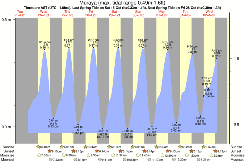 tide graph for Muraya near Outside Rodger's Beach surf break