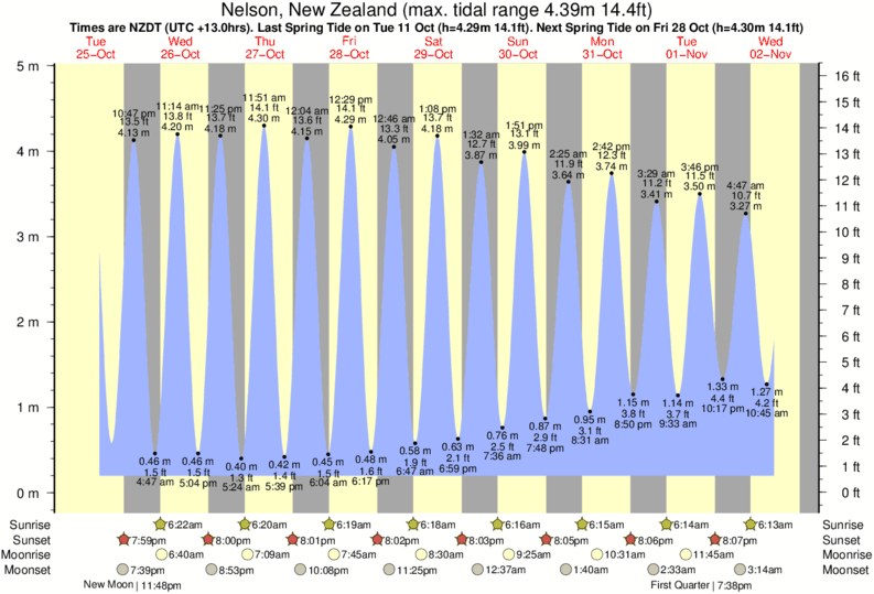 tide graph for Nelson, New Zealand near Tahunanui Beach surf break