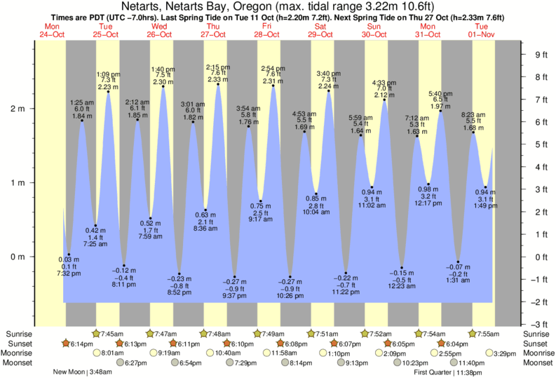 tide graph for Netarts, Netarts Bay, Oregon near Cape Lookout surf break