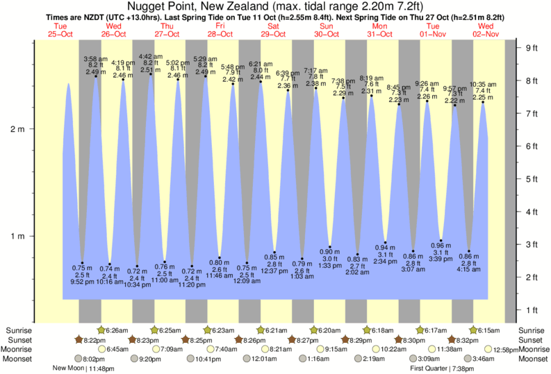 tide graph for Nugget Point, New Zealand near Kaka Point surf break