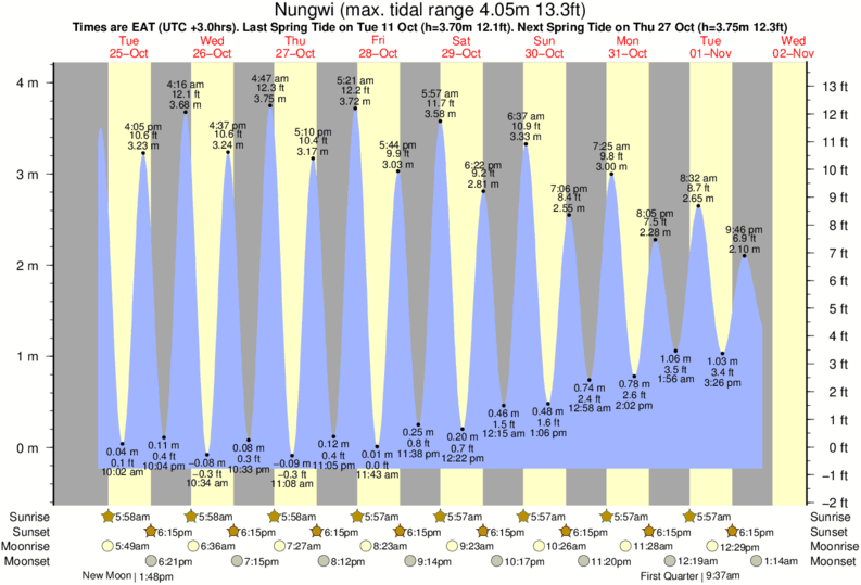 tide graph 39553 tide graph 39553