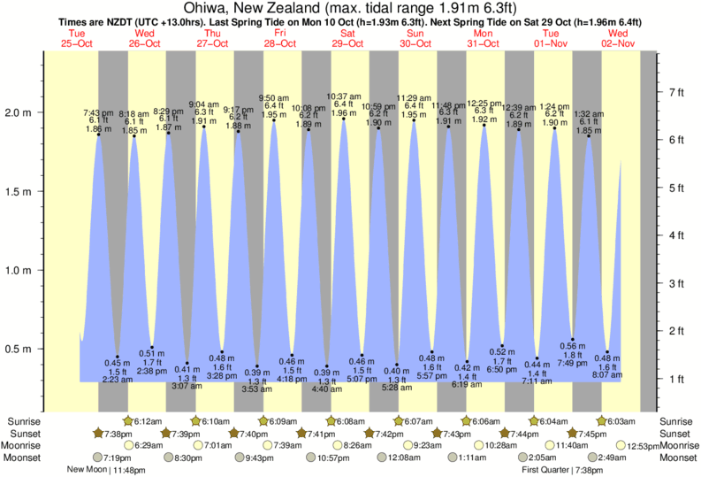 tide graph for Ohiwa, New Zealand near Ohiwa-Port Ohope surf break