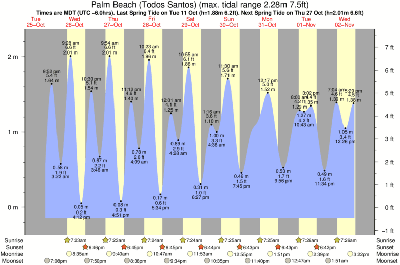 tide graph for Palm Beach (Todos Santos) near Playa San Pedro surf break