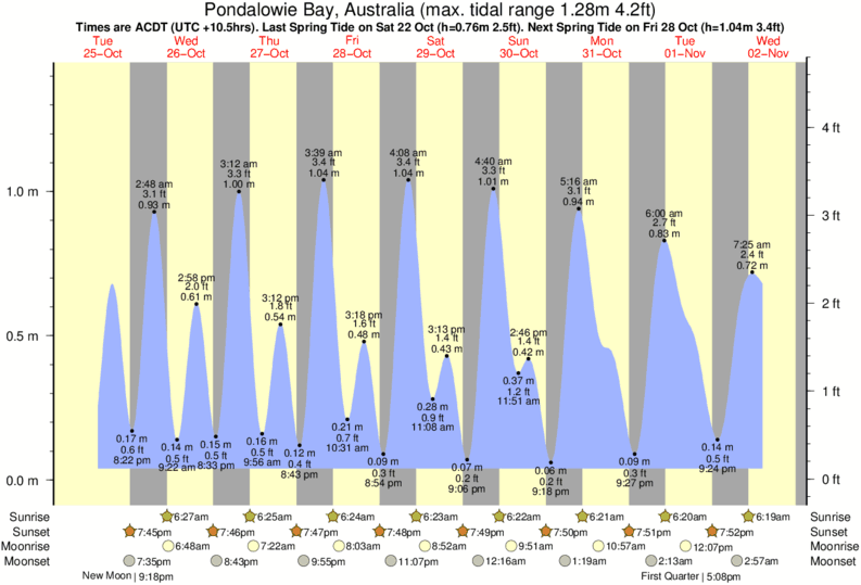 tide graph for Pondalowie Bay, Australia near Ethel Wreck surf break