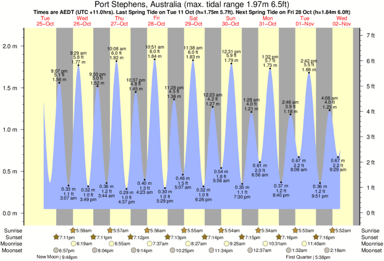 tide graph for Port Stephens, Australia near Box Beach surf break