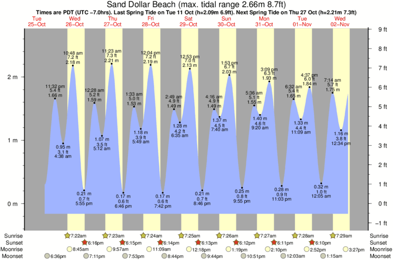 tide graph for Sand Dollar Beach surf break