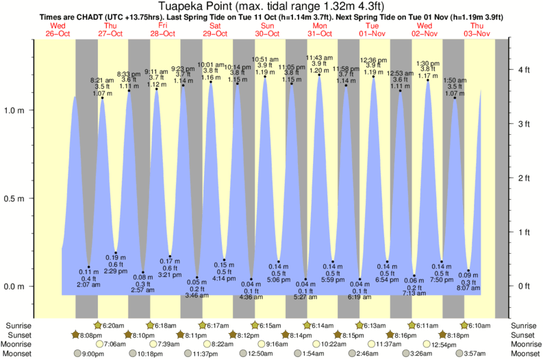 tide graph for Tuapeka Point surf break