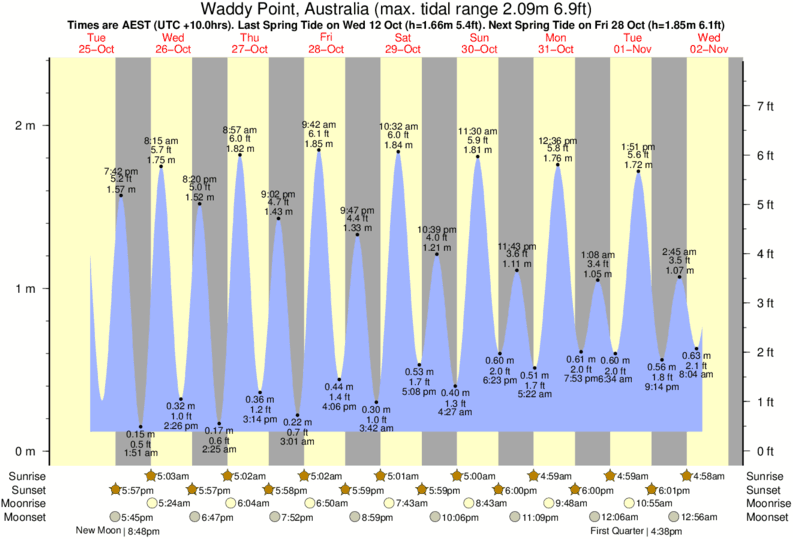 tide graph for Waddy Point, Australia near Fraser Island - Indian Head surf break