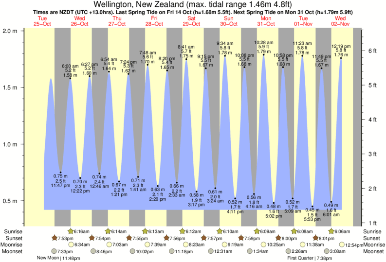 tide graph for Wellington, New Zealand near Houghton Bay surf break