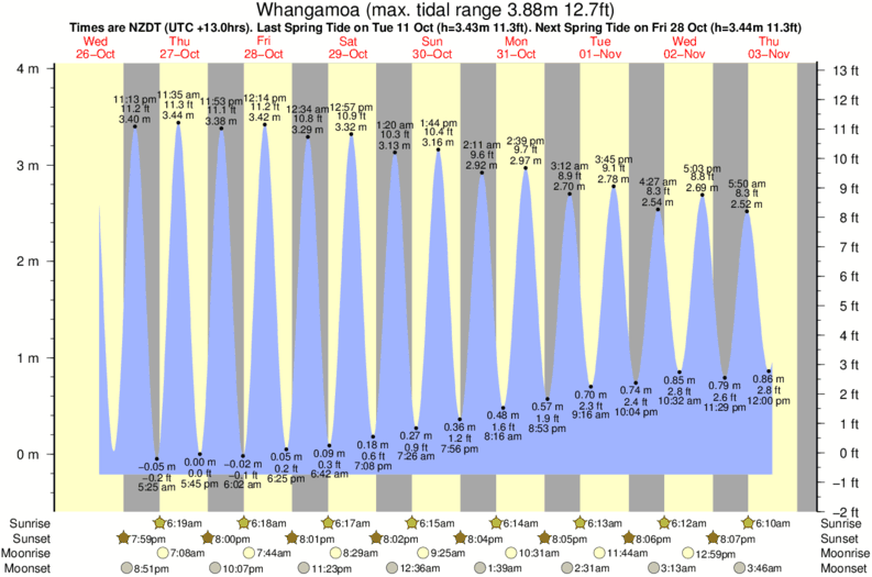 tide graph for Whangamoa near Magnets surf break