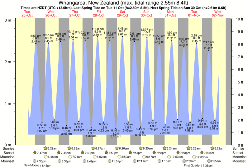 tide graph for Whangaroa, New Zealand near Tauranga Bay surf break