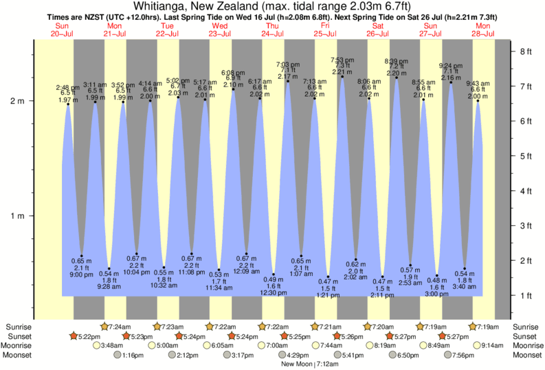 tide graph for Whitianga, New Zealand near Hot Water Beach surf break