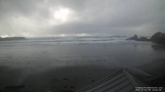 Tofino