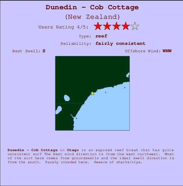 Dunedin Tide Chart