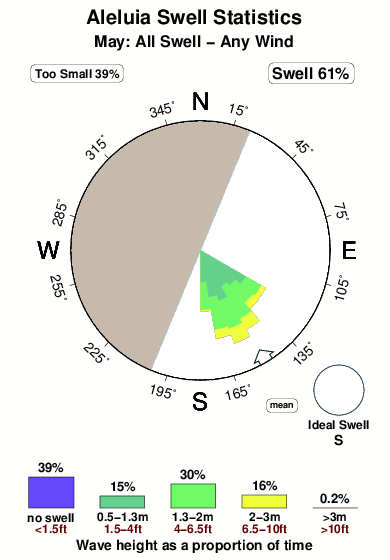 Aleluia.surf.statistics.may