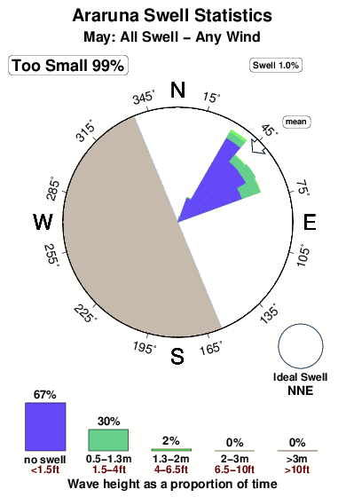 Araruna.surf.statistics.may