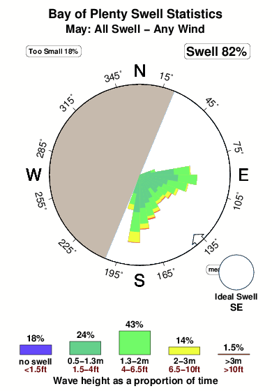 Bayof plenty 1.surf.statistics.may