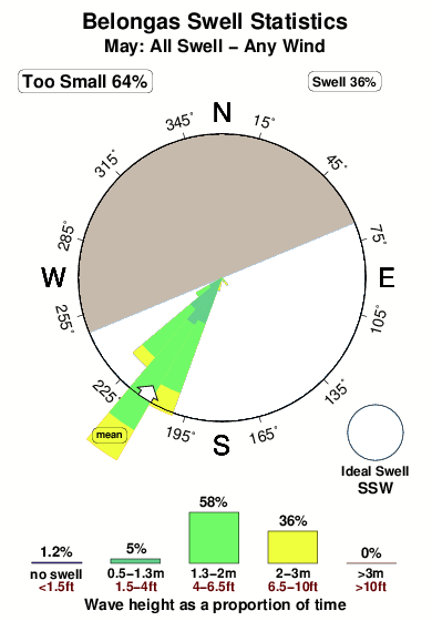 Belongas.surf.statistics.may