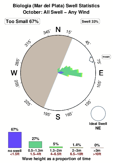 Biologia.surf.statistics.october