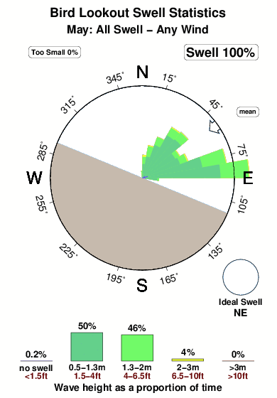 Bird lookout.surf.statistics.may