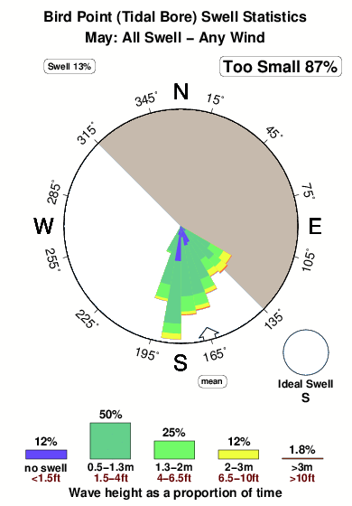 Bird point.surf.statistics.may