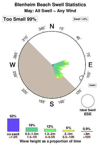 Blenheim beach.surf.statistics.may