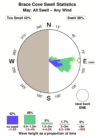 Brace cove.surf.statistics.may