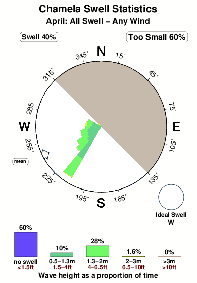 Chamela.surf.statistics.april