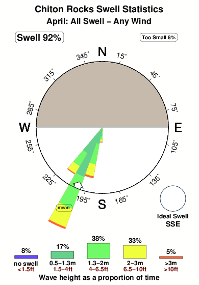 Chiton rocks.surf.statistics.april