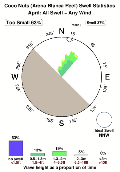Coco nuts arena blanca.surf.statistics.april