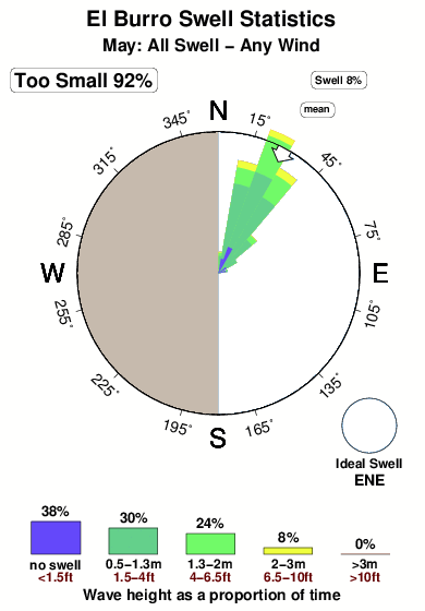 El burro.surf.statistics.may