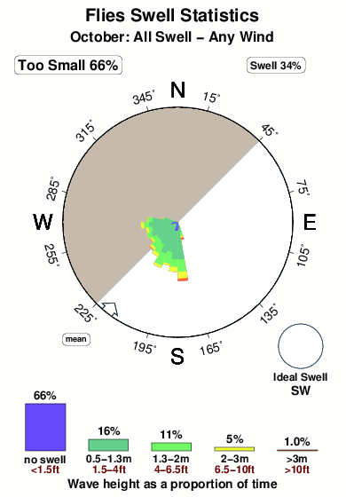 Flies 1.surf.statistics.october